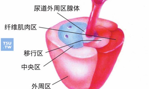 曰达仙价格作用网 - 网站提供日达仙的疗效和副作用小常识、日达仙的功效和禁忌
